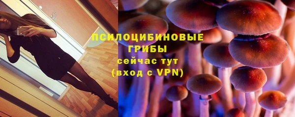 амфетамин Ельня