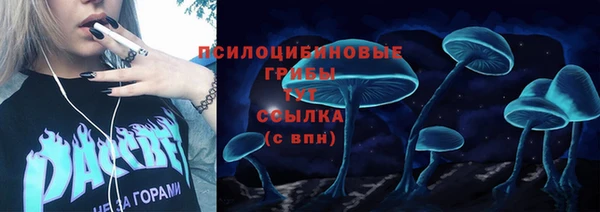 амфетамин Ельня