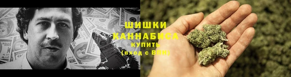 дживик Елизово