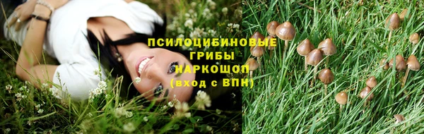 дмт Елабуга