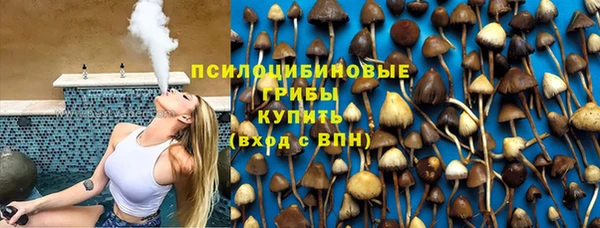 дживик Елизово