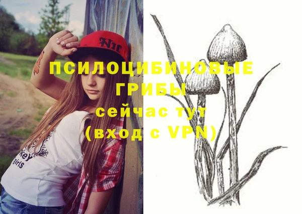 дмт Елабуга