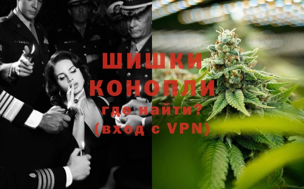 дмт Елабуга
