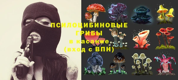дмт Елабуга