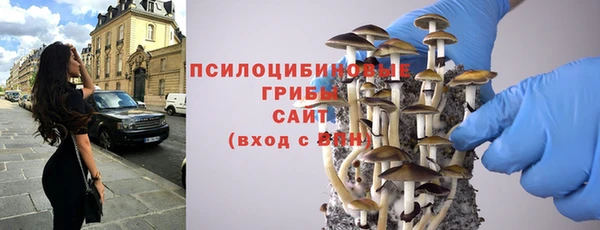 дмт Елабуга
