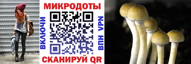 даркнет какой сайт  Инза  Псилоцибиновые грибы Cubensis 